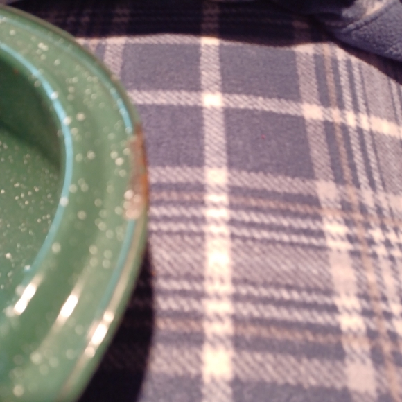 No name Kitchen Vintage Roasting Pan Wlid Enamel Green With White